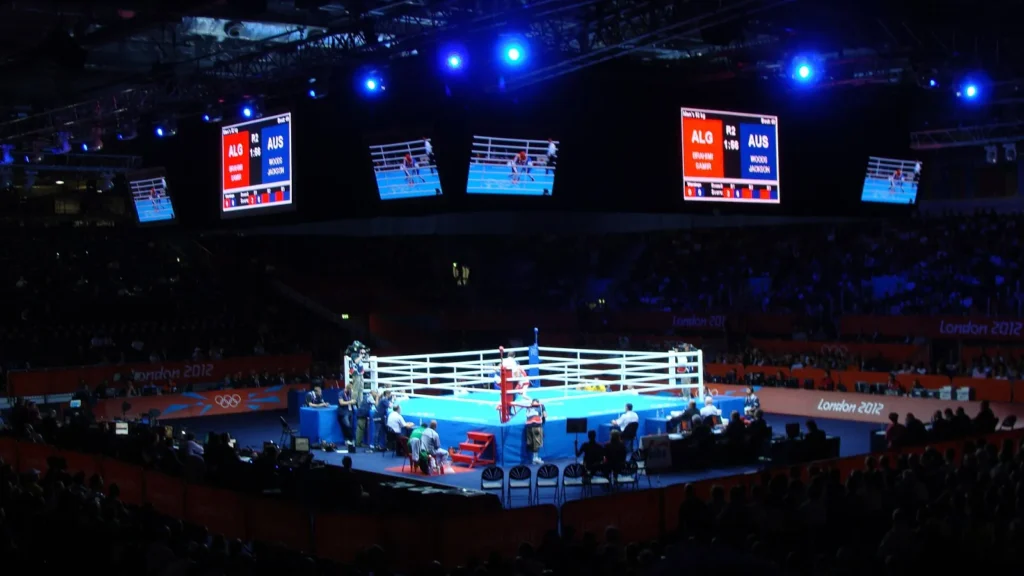 Londra 2012 Olimpiyatları boks müsabakaları